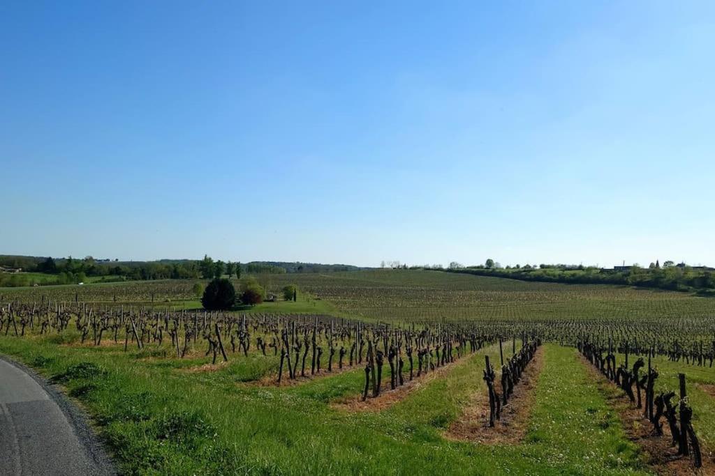 Entre Pierre Et Vigne - Charming Former Winery Farmhouse With Hot Tub & Swimming Pool Monestier  ภายนอก รูปภาพ