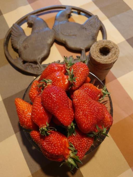 Entre Pierre Et Vigne - Charming Former Winery Farmhouse With Hot Tub & Swimming Pool Monestier  ภายนอก รูปภาพ